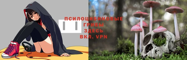 соль курить ск Липки