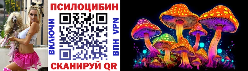 Галлюциногенные грибы GOLDEN TEACHER Астрахань